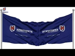 Limpieza de parabrisas trasera universal Limpieza de ventanas traseras original de molde