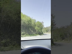 Lámina de limpiaparabrisas de caucho flexible para la parte trasera Reposición de limpiaparabrisas de parabrisas traseras de moda