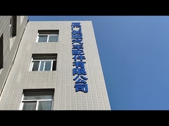 Limpiadores de parabrisas de Tesla